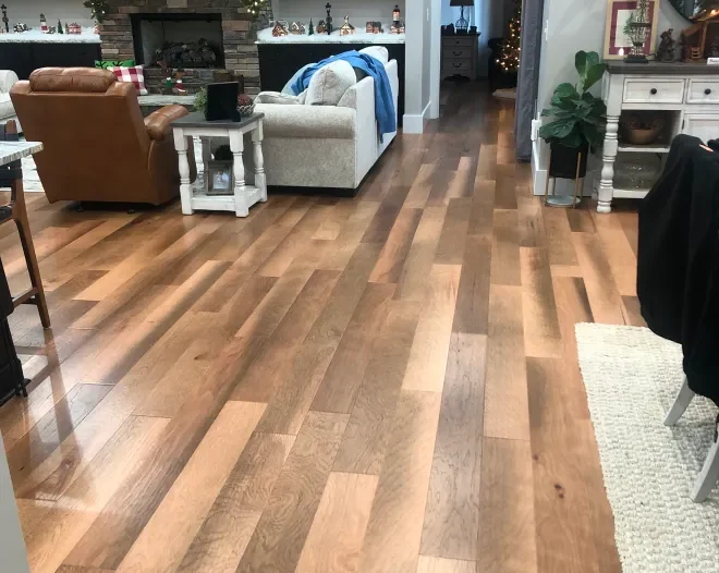 Home media 2